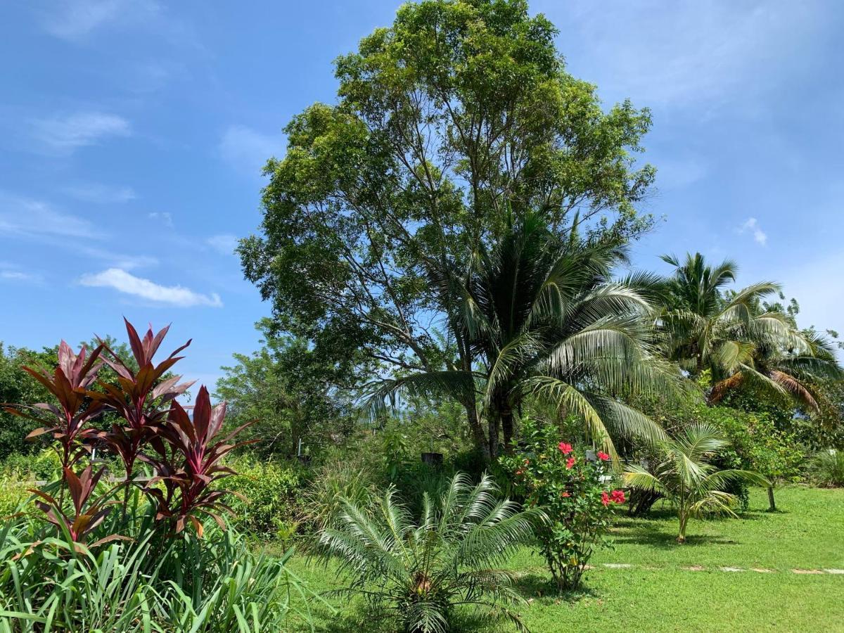 Lovely Garden Villas Pantai Cenang  Bagian luar foto