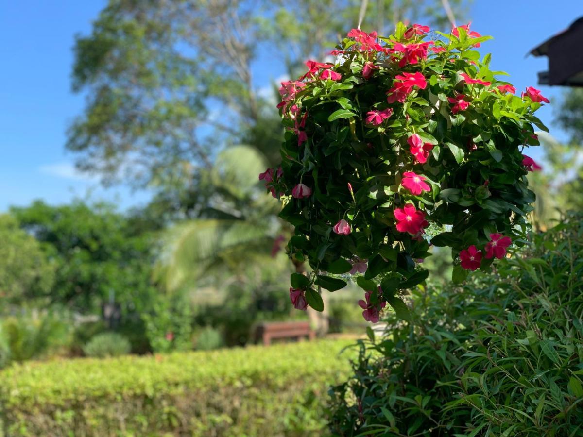 Lovely Garden Villas Pantai Cenang  Bagian luar foto