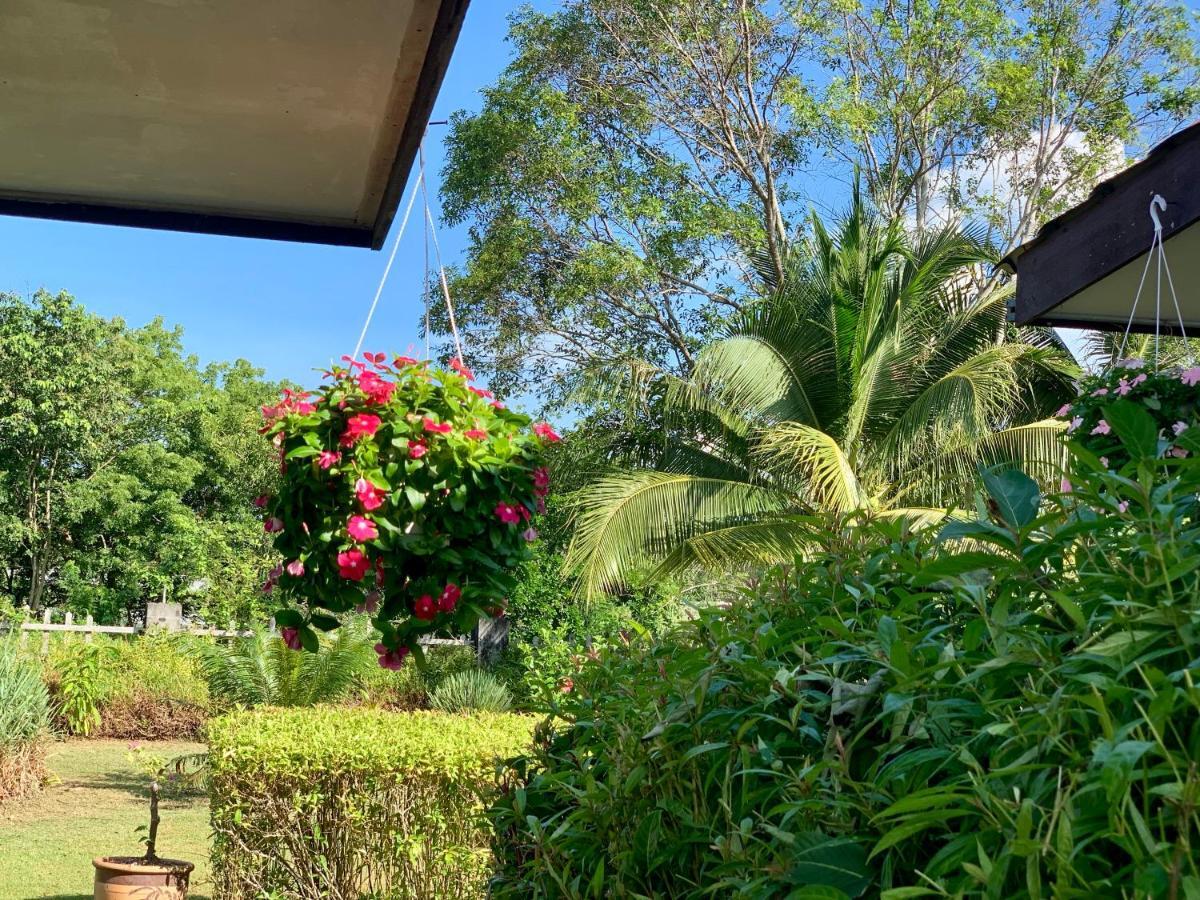 Lovely Garden Villas Pantai Cenang  Bagian luar foto